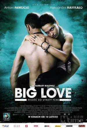 大爱/Big Love}